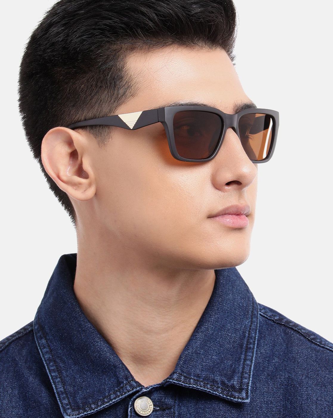 Brown with Gold Toned Brown Polarised Lens Wayfarer Sunglass for men