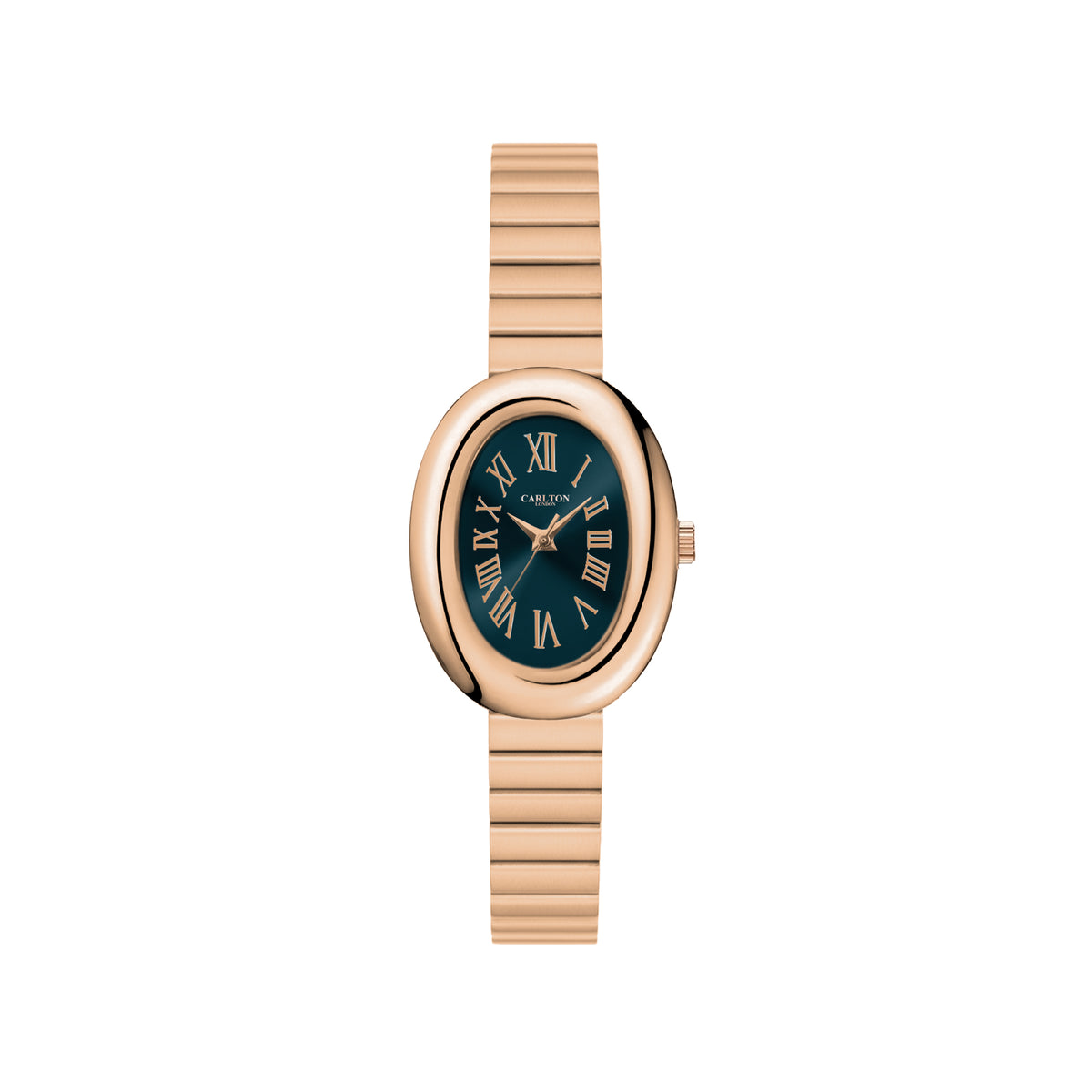 Carlton London Women Daphne Analog Watch CL-DA-TL