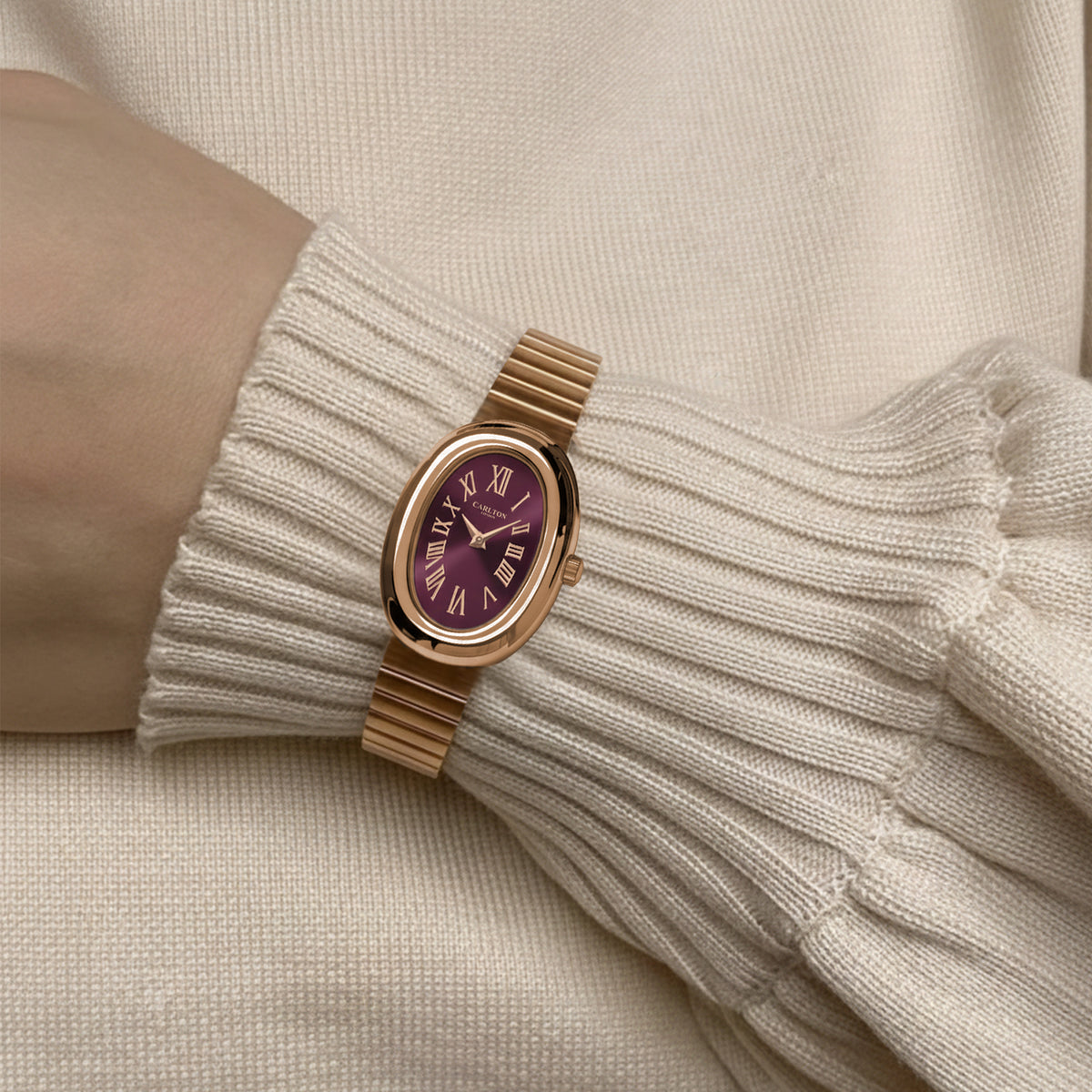 Carlton London Women Daphne Analog Watch CL-DA-BRG