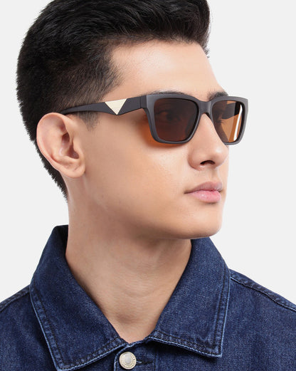 Brown with Gold Toned Brown Polarised Lens Wayfarer Sunglass for men