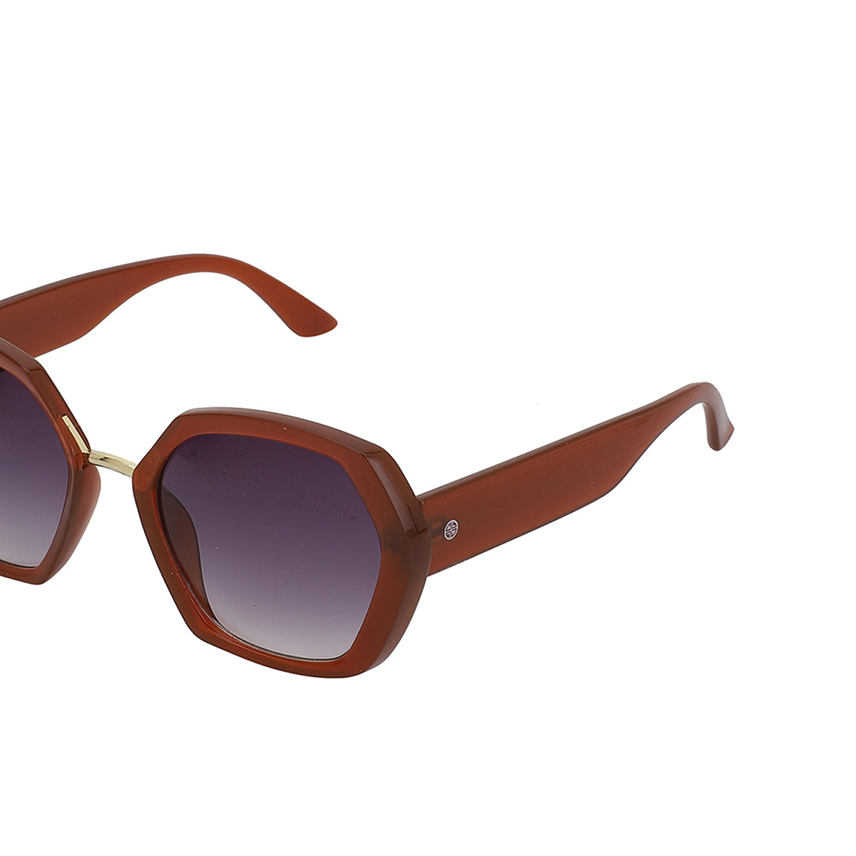 Carlton London Brown &amp; Gold Toned Uv Protected Oversized Sunglasses For Women